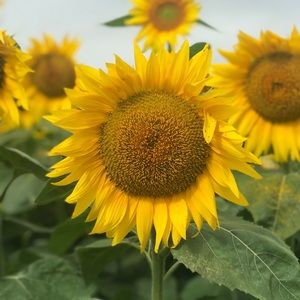 Meet your Posher, Stacie